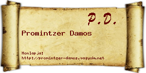 Promintzer Damos névjegykártya